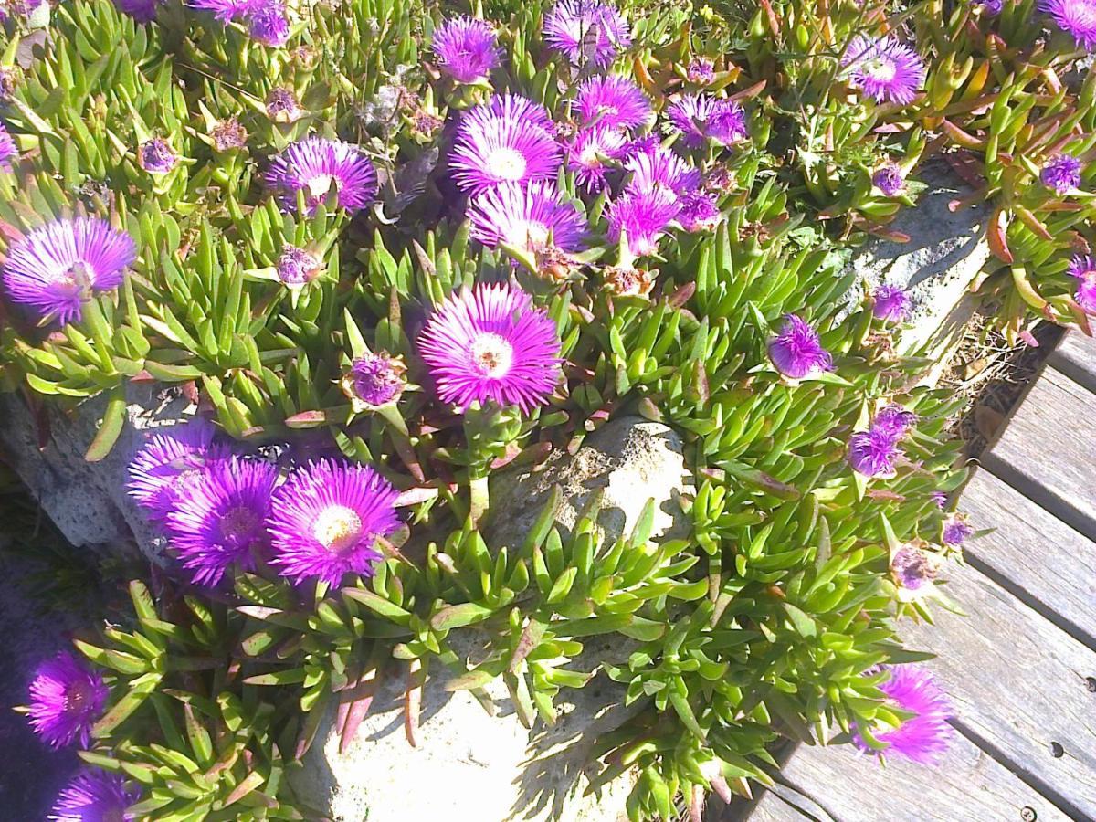 דירות Apartament Leon Maleme Do 6 Os. מראה חיצוני תמונה