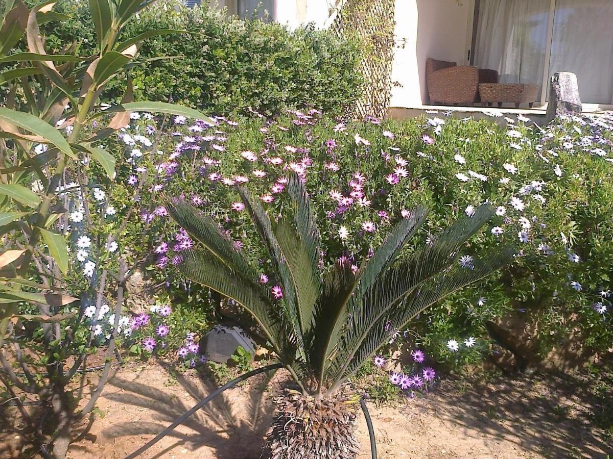 דירות Apartament Leon Maleme Do 6 Os. מראה חיצוני תמונה